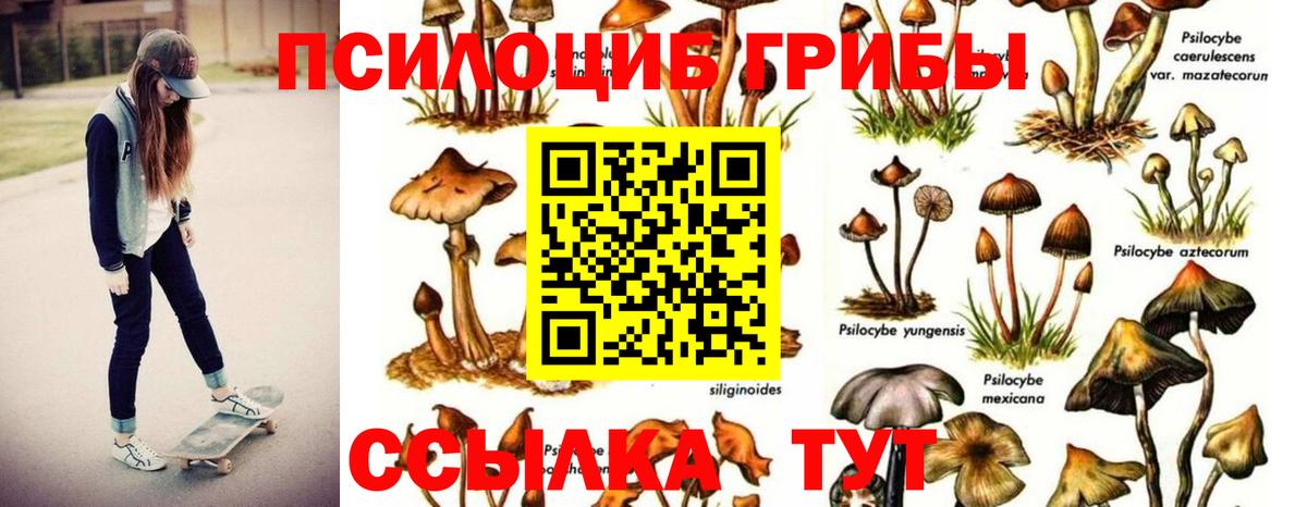 Галлюциногенные грибы GOLDEN TEACHER  Вход с VPN  Урай 